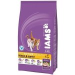 Iams ProActive Health Kitten 10 kg – Hledejceny.cz