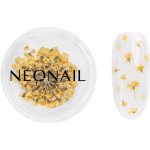 NEONAIL Dried Flowers sušený květ na nehty odstín 07 Yellow 1 ks – Hledejceny.cz