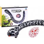 RCskladem RC had Rattle Snake RTR 20667425 zelená oranžová 1:1 – Zboží Dáma