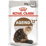 Royal Canin Feline Ageing 12 + Jelly 12 x 85 g – Hledejceny.cz