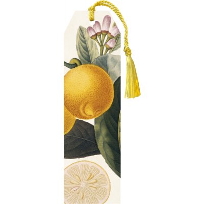 Knižní záložka Lemon – Hledejceny.cz