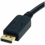 StarTech DP2DVI2MM6 – Hledejceny.cz