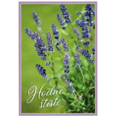 Pohlednice Hodně štěstí - levandule – Zboží Dáma