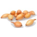 Zahradní centrum Sazečka cibule ozimá Shakespeare 250g – Zboží Dáma Zahradní centrum Sazečka cibule ozimá Shakespeare 250g – Zboží Dáma