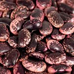 Bosfood Fazole obří velké červeno černo fialové sušené Rakousko 1 kg – Zboží Mobilmania