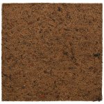 Repti Planet Coco Pad 30 x 30 cm – Hledejceny.cz