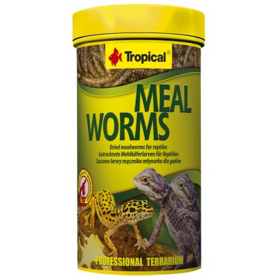 Tropical Meal Worms 100 ml – Zboží Mobilmania