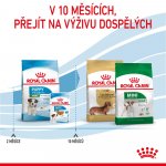 Royal Canin Mini Puppy 4 kg – Hledejceny.cz