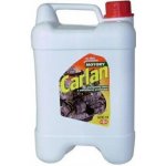 Carlan Čistič motorů 10 l – Sleviste.cz