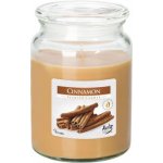 Airpure Cinnamon Spice 510 g – Zboží Mobilmania