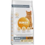 Iams Cat Adult Ind Chicken 10 kg – Hledejceny.cz