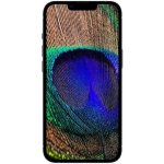 Apple iPhone 13 Pro Max 128GB Silver – Zboží Živě