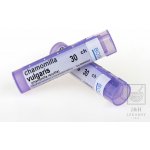 CHAMOMILLA VULGARIS POR 30CH GRA 1X4G – Hledejceny.cz