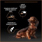 Purina Pro Plan Duo Délice Medium & Large Adult Beef 10 kg – Zboží Mobilmania