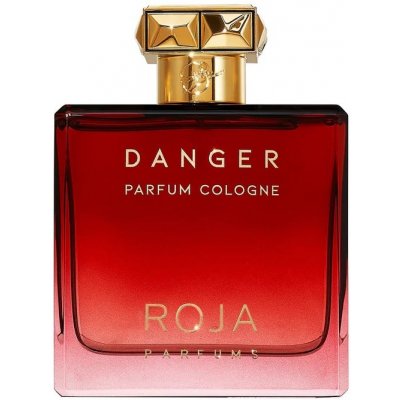 Roja Parfums Danger kolínská voda pánská 100 ml – Zboží Mobilmania