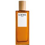 Loewe Solo toaletní voda pánská 100 ml – Hledejceny.cz