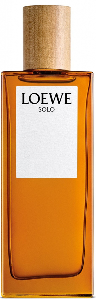 Loewe Solo toaletní voda pánská 100 ml