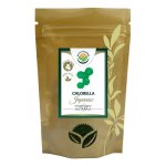 Salvia Paradise Chlorella prášek 100% HQ dezintegrovaná 100 g – Hledejceny.cz