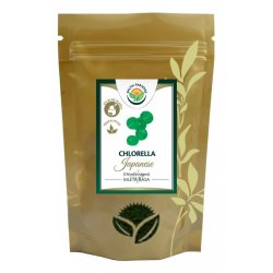 Salvia Paradise Chlorella prášek 100% HQ dezintegrovaná 100 g