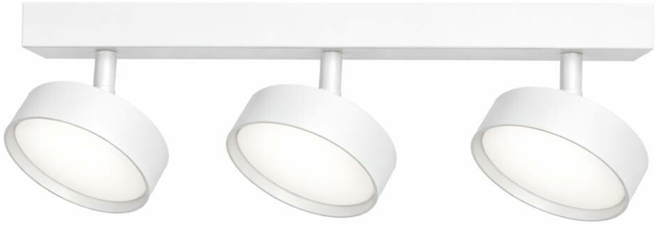 Spot Light 4003-SL-3