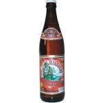 Krakonoš 14 VÁNOČNÍ silné pivo světlé 5,8% 0,5 l (sklo) – Zboží Dáma