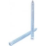 Šroub kotevní s cylindrickou hlavou, TORX drážka, zinek bílý 7,5 x 152 ZB - hobby balení, balení 1 ks – Sleviste.cz