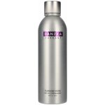 Danzka Currant 40% 1 l (holá láhev) – Sleviste.cz
