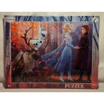 Dino Frozen II deskové 40 dílků – Hledejceny.cz