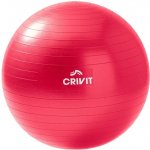 Crivit Gymnastický míč 55 cm – Zboží Dáma Crivit Gymnastický míč 55 cm – Zboží Dáma