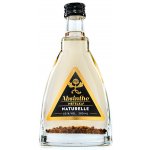 Metelka Naturelle Absinthe 60% 0,2 l (holá láhev) – Zboží Dáma