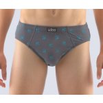 Gina dětské slipy chlapecké, širší bok, šité, s potiskem 61003P dunaj tm. tyrkysová – Hledejceny.cz