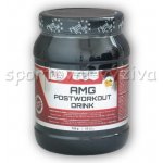 AMG Postworkout Lesní jahoda 750 g – Zboží Mobilmania