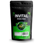 Invital Artemia flakes 100 ml – Zboží Dáma
