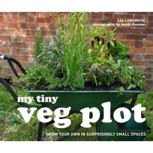 My Tiny Veg Plot - Lia Leendertz