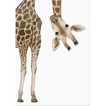 Eulenschnitt Přání Giraffe Watercolor, béžová barva, bílá barva, hnědá barva