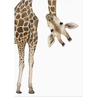 Eulenschnitt Přání Giraffe Watercolor, béžová barva, bílá barva, hnědá barva – Zboží Mobilmania