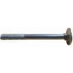 Šroub vratový M6x60 ZB DIN 603 4.8 – Sleviste.cz