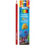 Ocean World RM_47003265 6 ks – Sleviste.cz