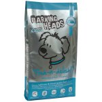 Barking Heads Fish-n-Delish Adult 2 kg – Hledejceny.cz