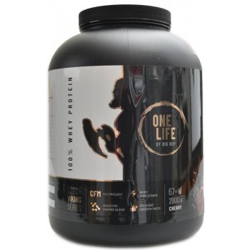 ONE LIFE 100 % Whey Protein 2000 g