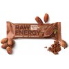 Energetický nápoj Bombus RAW Energy Cocoa & Cocoa beans 50 g