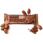 Bombus RAW Energy Cocoa & Cocoa beans 50 g – Zboží Mobilmania