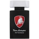 Tonino Lamborghini Intenso toaletní voda pánská 125 ml