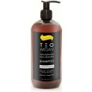 Teotema Argan ultra hydratační šampon 250 ml