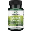 Doplněk stravy Swanson Shilajit Extrakt 400 mg 60 rostlinných kapslí