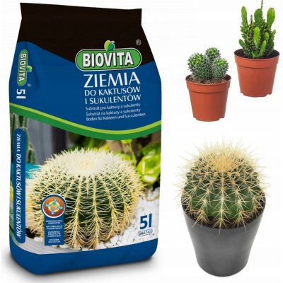 BIOVITA Země Substrát pro kaktusy a sukulenty 5 l – Hledejceny.cz