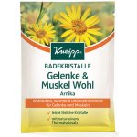 Kneipp Arnika sůl do koupele 60 g – Zboží Mobilmania