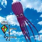 D&P Šarkan Obrovská 3D Chobotnica – Zboží Dáma