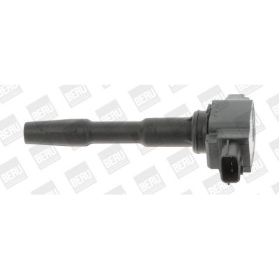 Zapalovací cívka BorgWarner (BERU) ZSE131 – Hledejceny.cz