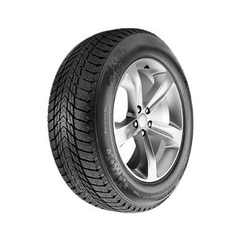 Roadstone Winguard Ice Plus 205/55 R16 91T